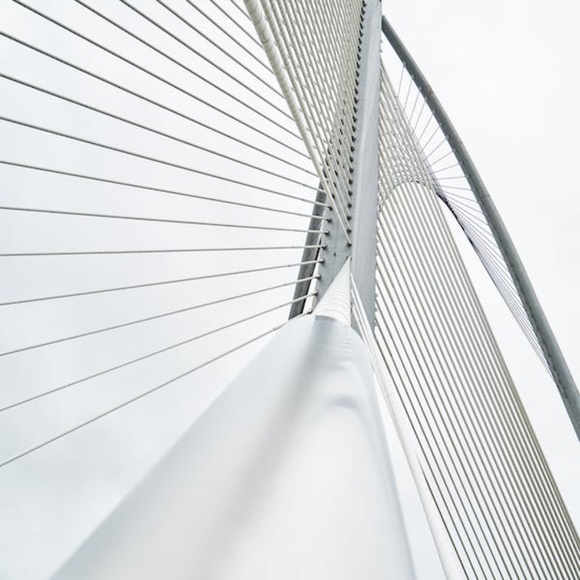 Barbara - Picture 1 of 1